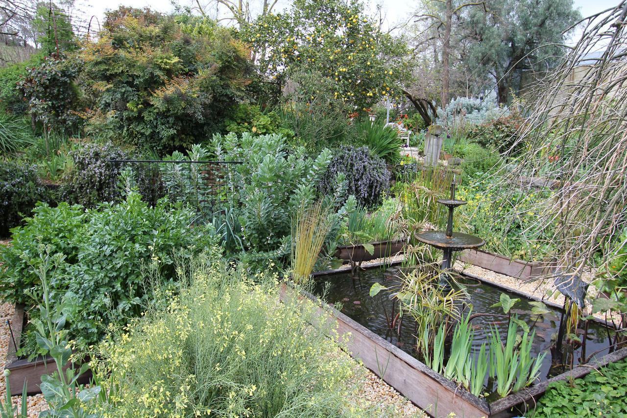 Bed and Breakfast Palm House Молдон Экстерьер фото